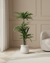 Artificial Dracaena Fragrans Tree 150cm (5ft)